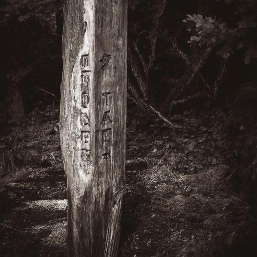 Hidden Trail — step 0